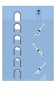 수심에 따른 호흡정지 잠수자의 허파부피 및 잠수종내 공기 부피 변화 의 사진