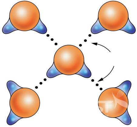 물분자 사이의 수소결합 (일러스트) 의 사진
