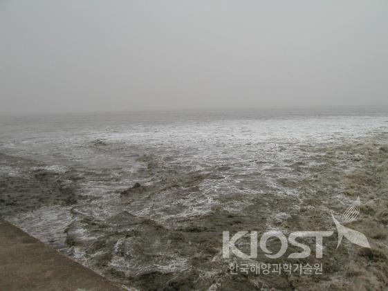 중국 전당강의 조석보어 의 사진