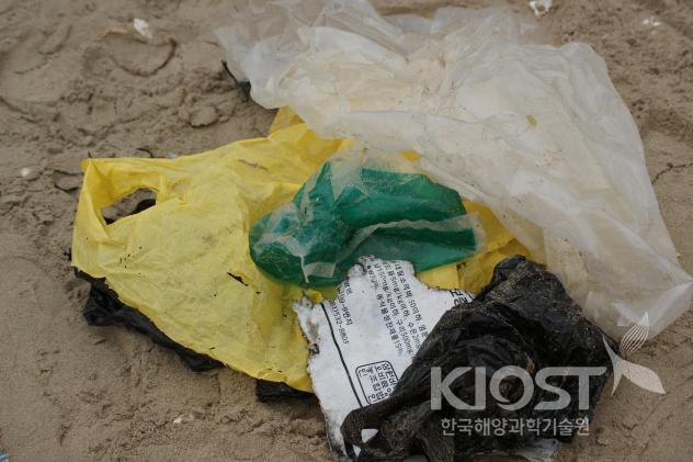 버려져 쓰레기가 된 다양한 종류의 비닐봉투들 1 의 사진