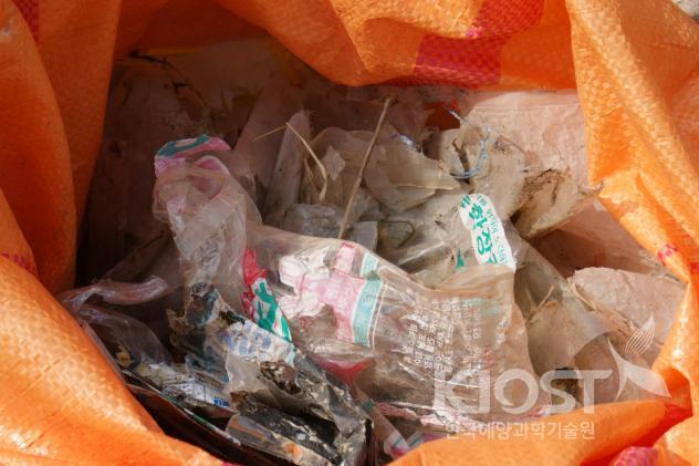 버려져 쓰레기가 된 다양한 종류의 비닐봉투들 2 의 사진