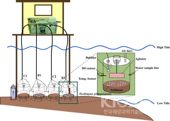 In situ experimental system for the filtering rate on POM in 의 사진