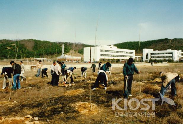 제45회 식목일 행사 의 사진