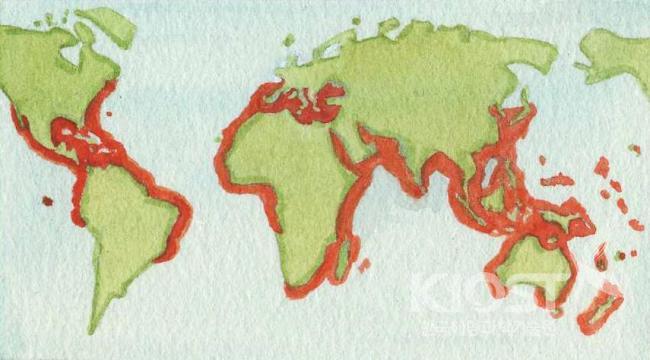 전 세계의 해마 분포 지역 의 사진