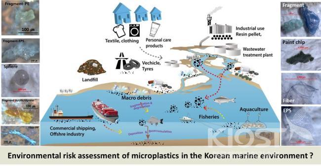 Environmental Risk Assessment of Microplastics in the Korean Marine Environment? 의 사진