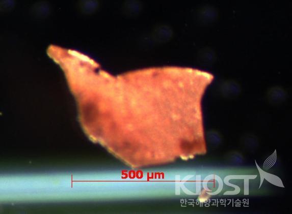 미세플라스틱 현미경 관찰 의 사진