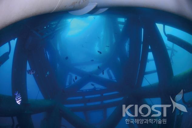 가거초 종합해양과학기지의 수중 사진 의 사진