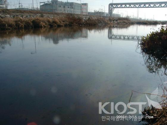 시화호로 오염물질을 흘려 보내는 하천들 의 사진