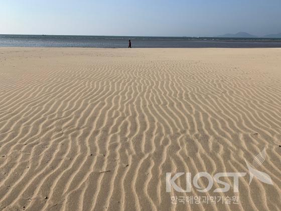 바다, 바람이 만든 다대포 모래해빈(사빈) 의 사진
