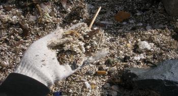 모래와 뒤섞인 스티로폼 알갱이에 파묻힐 정도로 오염이 심각한 해안 2