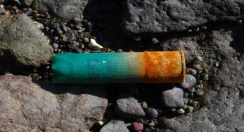 사냥용 산탄총알의 탄피가 바닷가에서도 발견된다. 의 사진