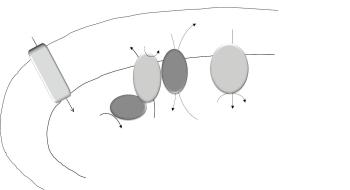개미산을 이용한 수소 및 에너지 생산 모식도 및 개미산의 구조 의 사진