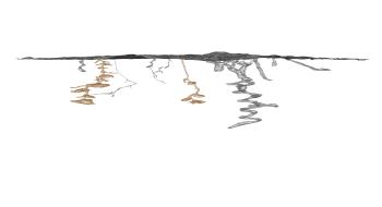 갯벌 대형저서무척추동물 서식굴 3D 모델
